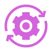 Step 5 Project Execution